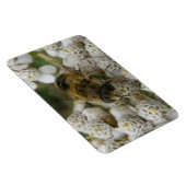 Honigbienen und Blume Premium Magnet (Rechte Seite)