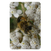 Honigbienen und Blume Premium Magnet (Vertikal)