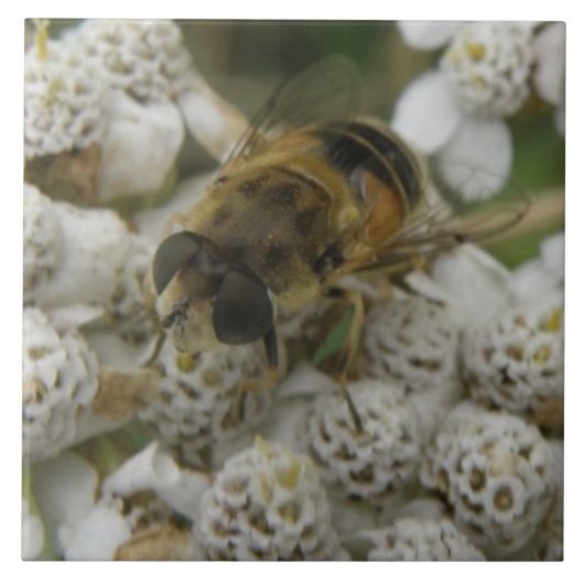 Honigbienen und Blume Tile Fliese (Vorderseite)