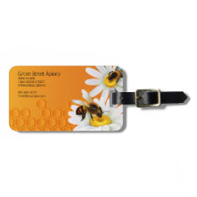 Honigbienen und Daisy-Blume