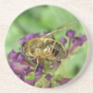 Honigbienen und violette Blumen Untersetzer