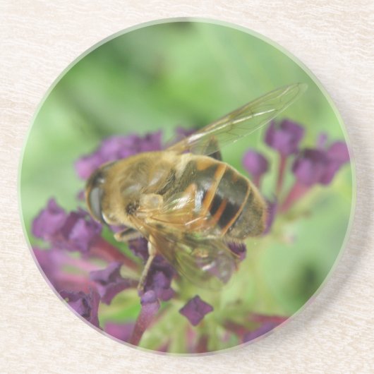 Honigbienen und violette Blumen Untersetzer (Vorne)