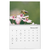 Honigbienen-Wandkalender Kalender (Feb 2027)