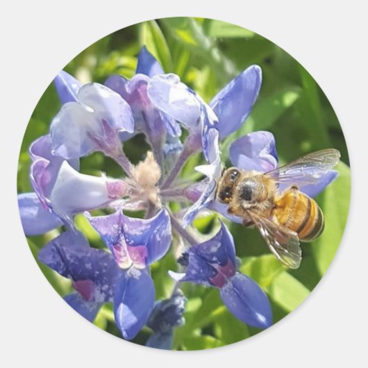 Honigbienenaufkleber Runder Aufkleber (Vorderseite)