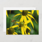 Honigbienenflug Postkarte (Vorne/Hinten)