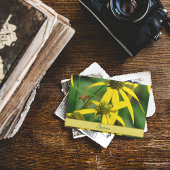 Honigbienenflug Postkarte