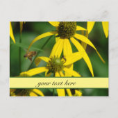 Honigbienenflug Postkarte (Vorderseite)