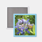 Honigbienenmagnet Magnet (Vorderseite/Rückseite)