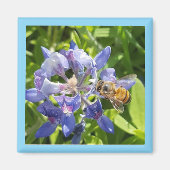 Honigbienenmagnet Magnet (Vorne)