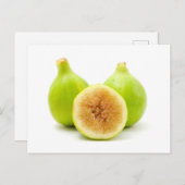 Honigfisch Postkarte (Vorne/Hinten)