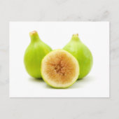 Honigfisch Postkarte (Vorderseite)