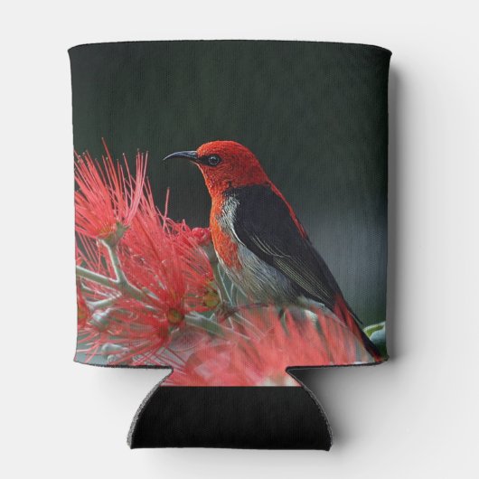 Honigkuchen Dosenkühler (Rückseite)