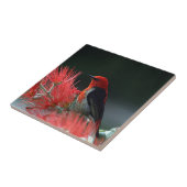 Honigkuchen Fliese (Seite)