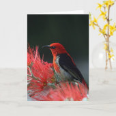 Honigkuchen Karte (Gelbe Blume)