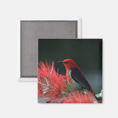 Honigkuchen Magnet (Vorderseite/Rückseite)