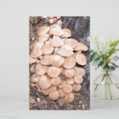 Honigpilze Briefpapier (Stehend Vorderseite)