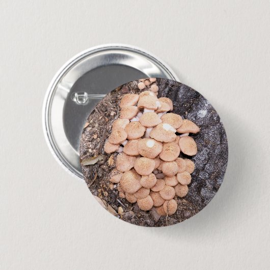 Honigpilze Button (Vorne & Hinten)