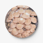 Honigpilze, die auf einer Papiertüte Pappteller (Vorderseite)