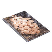 Honigpilze Notizblock (Rechte Seite)