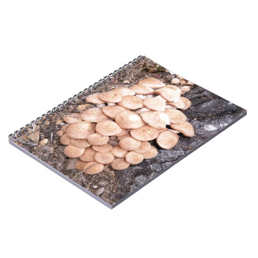 Honigpilze Notizblock (Linke Seite)