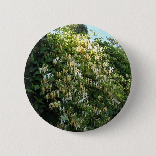 Honigsauce an einer Mauer Button (Vorderseite)
