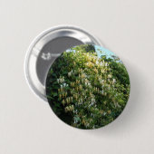 Honigsauce an einer Mauer Button (Vorne & Hinten)
