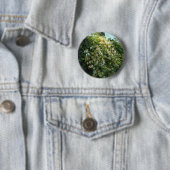 Honigsauce an einer Mauer Button (Beispiel)
