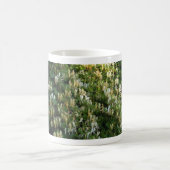 Honigsauce an einer Mauer Kaffeetasse (Mittel)