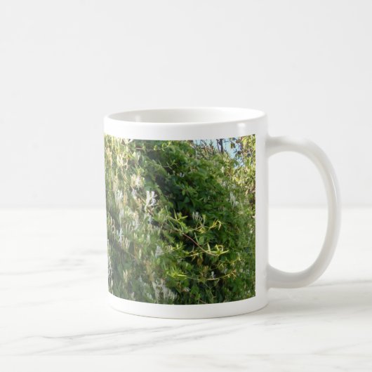 Honigsauce an einer Mauer Kaffeetasse (Rechts)