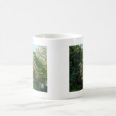 Honigsauce an einer Mauer Kaffeetasse (Mittel)