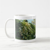 Honigsauce an einer Mauer Kaffeetasse (Links)
