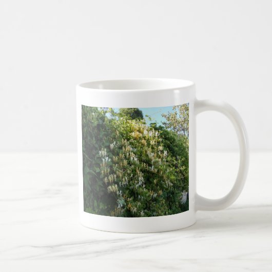 Honigsauce an einer Mauer Kaffeetasse (Rechts)