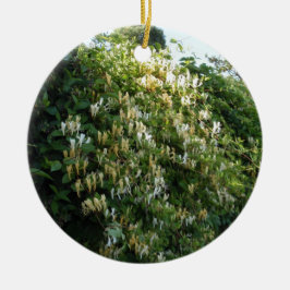Honigsauce an einer Mauer Keramik Ornament