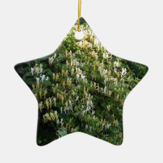 Honigsauce an einer Mauer Keramikornament (Vorne)