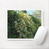 Honigsauce an einer Mauer Mousepad (Mit Mouse)