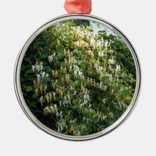 Honigsauce an einer Mauer Silbernes Ornament (Vorne)