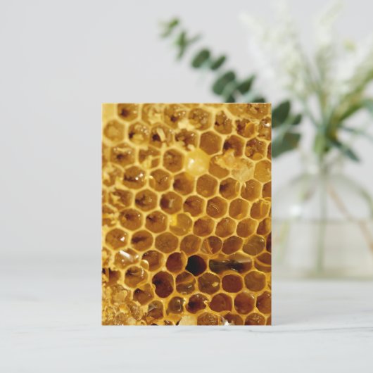 Honigwabe Postkarte (Stehend Vorderseite)