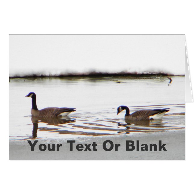 Honkers - Kanada - Gänse (Vorderseite (Horizontal))