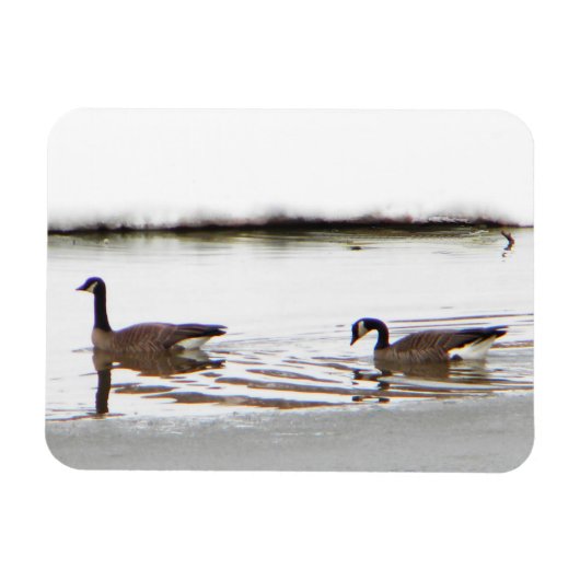 Honkers - Kanada - Gänse Magnet (Horizontal)