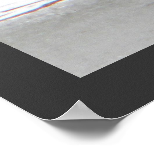 Honkers - Kanada - Gänse Poster (Ecke)