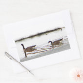 Honkers - Kanada - Gänse Rechteckiger Aufkleber (Umschlag)