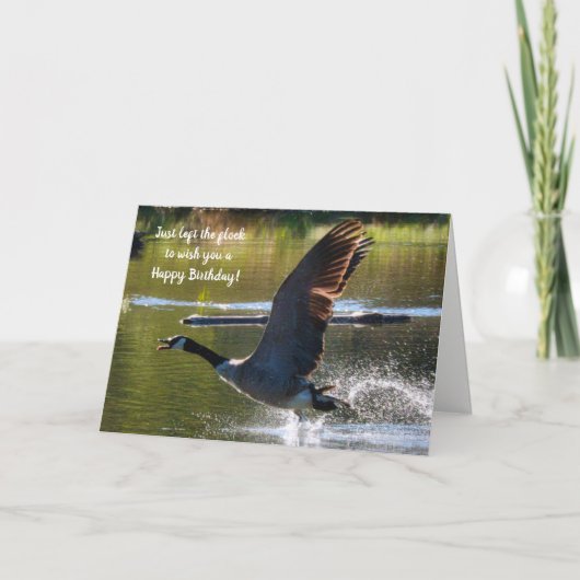 Honking Goose Birthday Card Karte (Vorderseite)