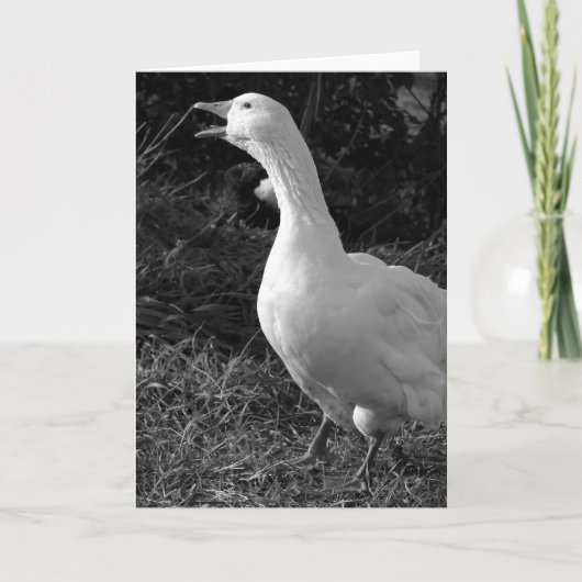 Honking Sebbie Karte (Vorderseite)