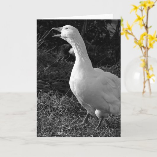 Honking Sebbie Karte (Gelbe Blume)