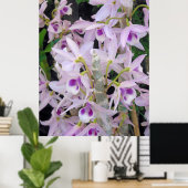 Honohono Orchids Poster (Heimbüro)