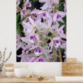 Honohono Orchids Poster (Küche)