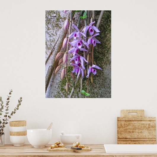 Honohono Orchids Poster (Küche)