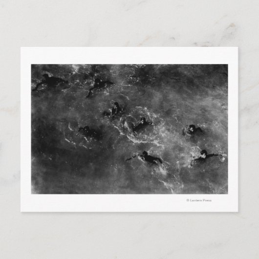 Honolulu, HA - Taucherboys in der Nähe von Honolul Postkarte (Vorderseite)