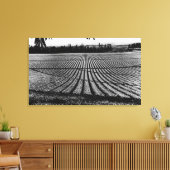 Honolulu, Hawaii - Ansicht der Ananas-Felder Leinwanddruck (Insitu (Wohnzimmer))