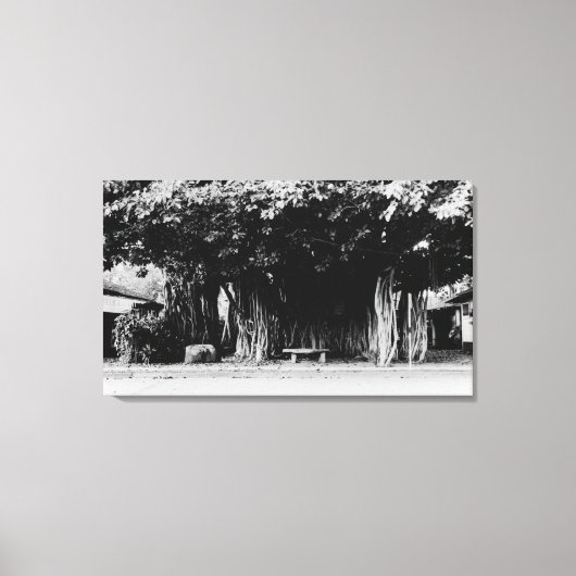 Honolulu, Hawaii - Der Wurstbaum Leinwanddruck (Vorderseite)